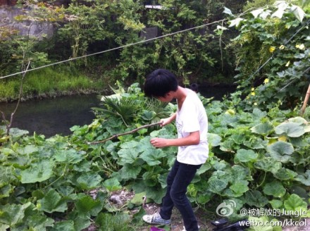 小候鸟找乐子钓龙虾