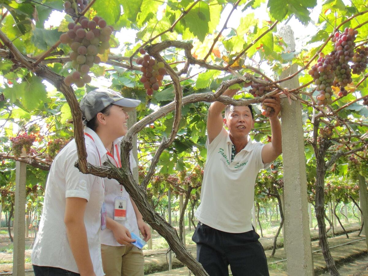 长兴开展职工假日感悟农家情怀活动