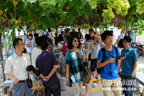 感受江南吐鲁番葡萄飘香 全省网媒走进上虞盖