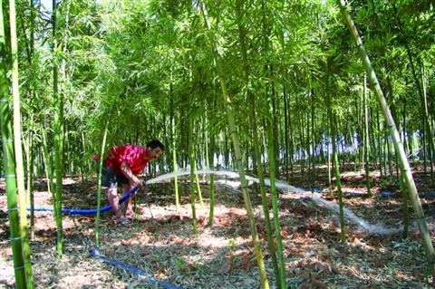 周家乡人口_周家乡 甘肃省庆阳市正宁县周家乡(3)