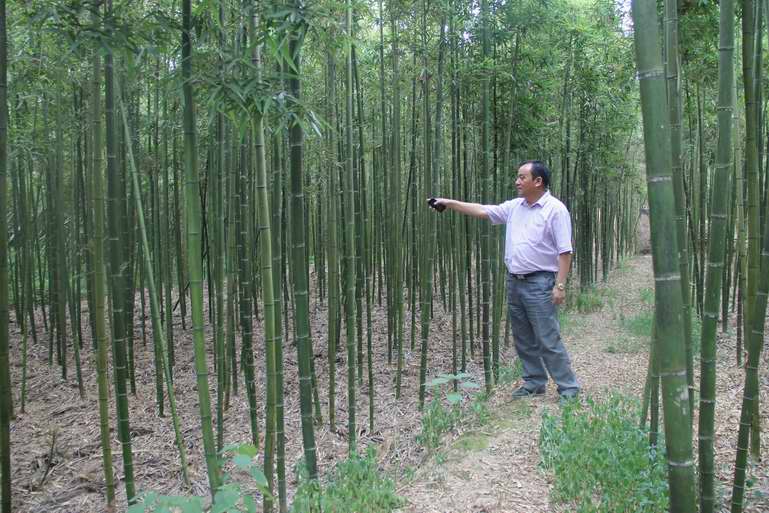 三里乡何家村多少人口_何家村遗宝(3)