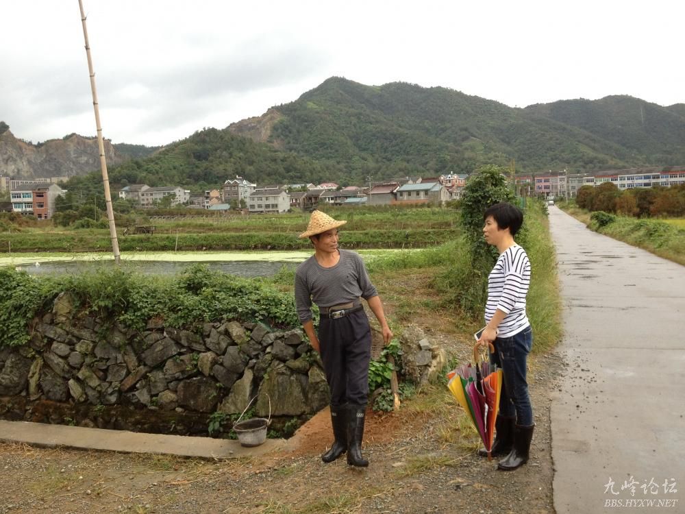 沙埠村人口_人口普查(2)