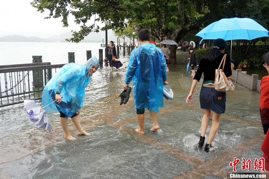连日暴雨致西湖满溢