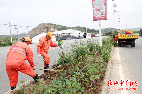 10月9日,公路养护工人在高双线补种绿化树苗3000余株,美化绿化岛城.