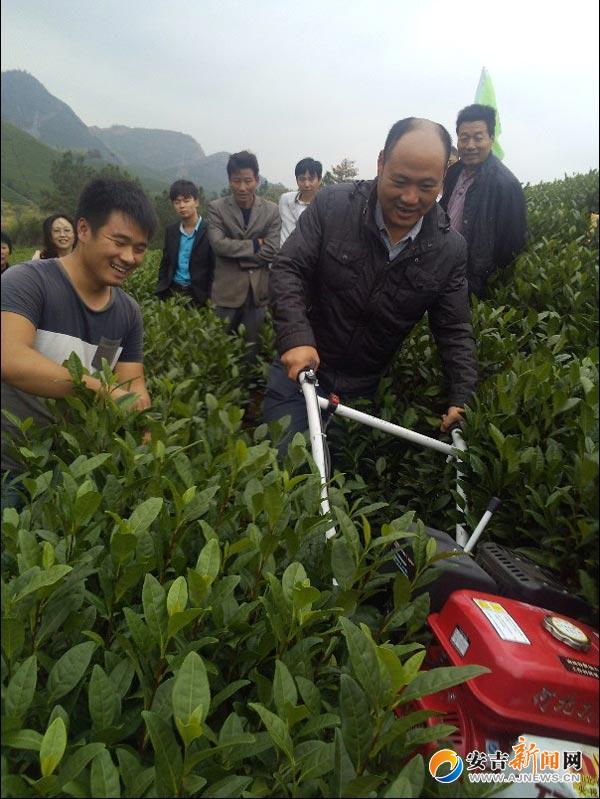 安吉即时新闻_安吉滚动新闻_安吉最新新闻_安