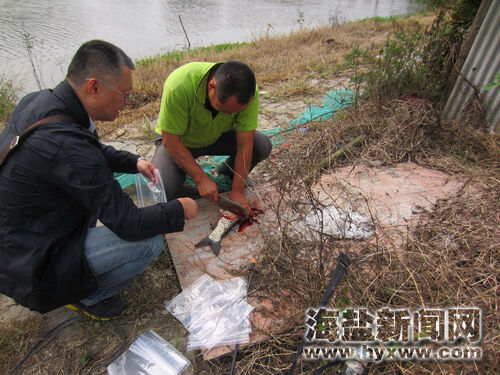 沈荡多少人口_长荡人口