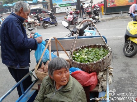 城北菜场七旬老汉载着老伴摆摊卖菜真情感人图