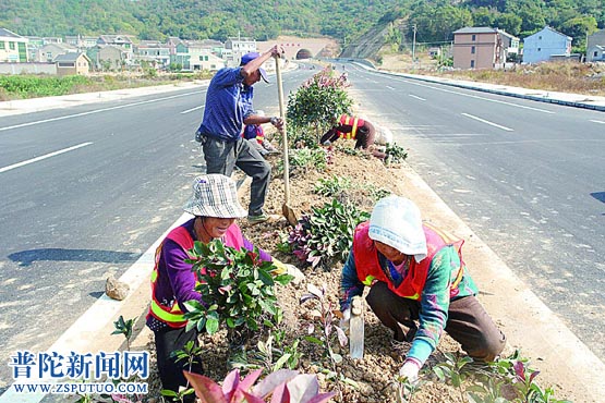 六横两条新通公路添绿