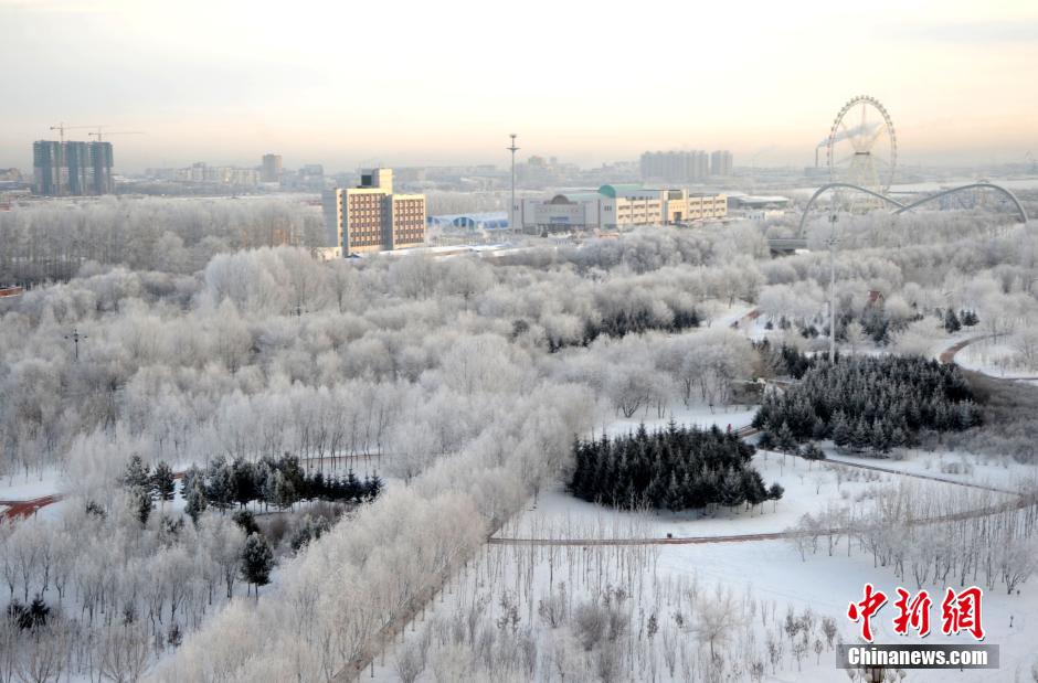 黑河现雾凇美景