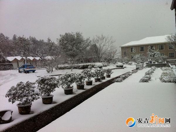 安吉即时新闻_安吉滚动新闻