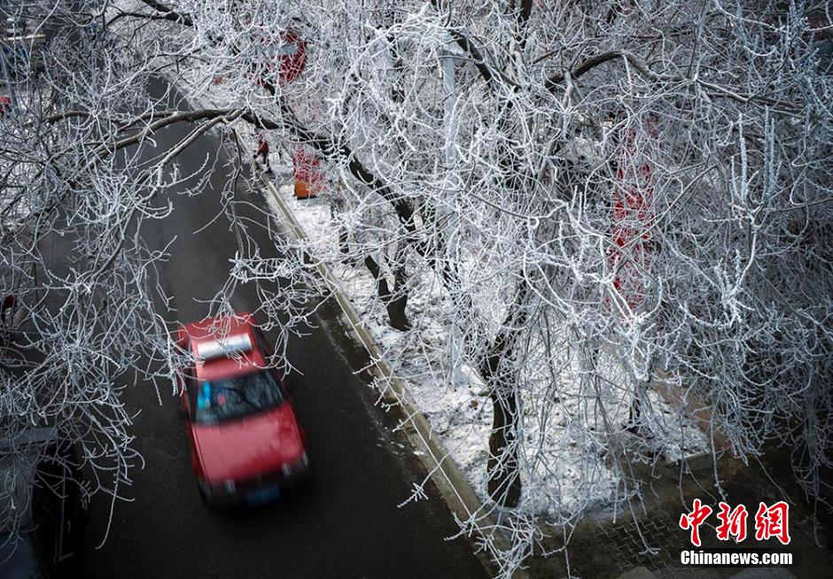 乌鲁木齐出现雾凇美景