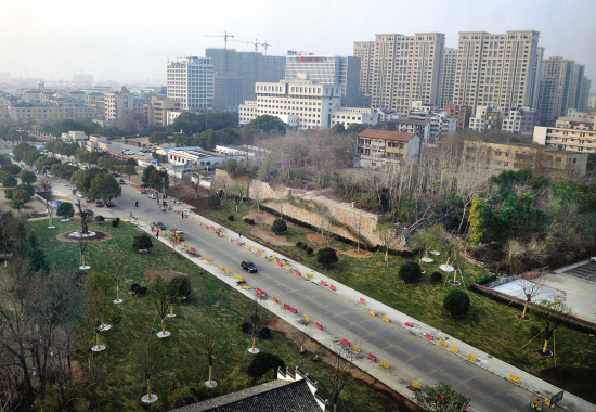 义乌朝阳门地段绿化景观新样貌