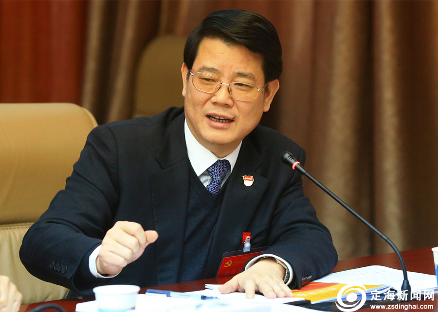 傅良国参加分组讨论和审议