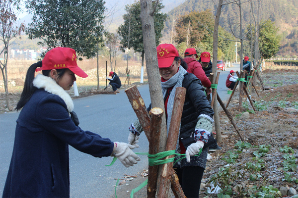 《<em>犯罪现场</em>:纽约》<em>女主角</em>将离开 替换者已定-犯
