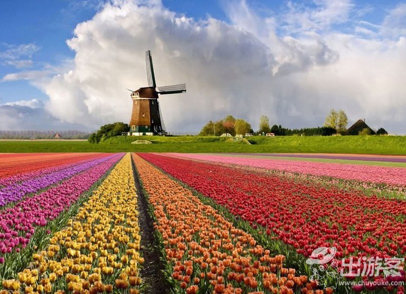 世界十大花海--金华频道