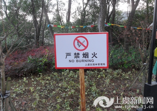 区园林管理中心加强春节森林防火工作--上虞新