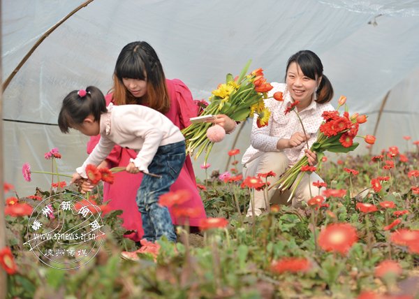 鲜花增添节日喜庆气氛