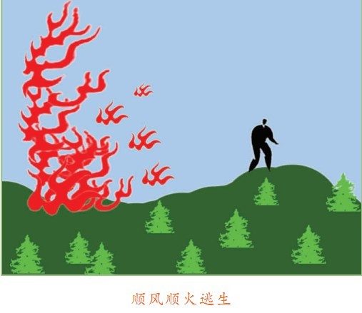 预防与扑救森林火灾的方法和要点--东阳新闻网