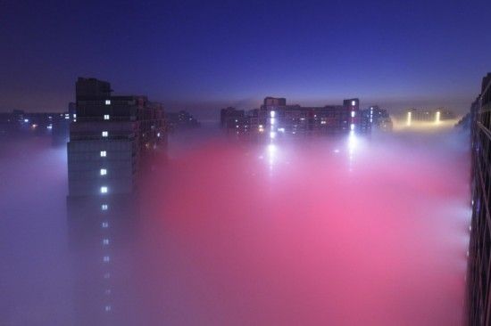 ضȾµԻñ