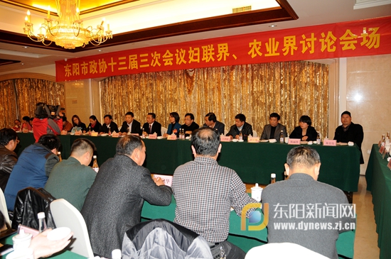 政协委员分组讨论《政府工作报告》