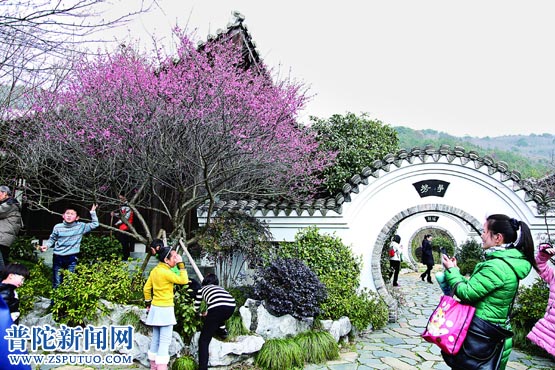 春梅绽放香满院