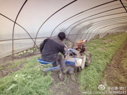 过了惊蛰节锄头不停歇农民春耕备耕忙(图)