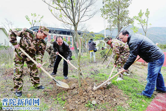 植树添绿 美化环境