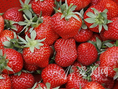 用脑过度吃番茄和木瓜 13种水果治愈小毛病-小