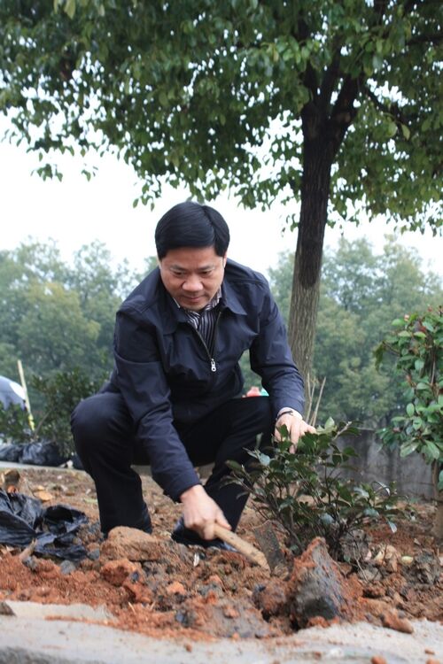 章根明书记在泗安塔上村栽植树木