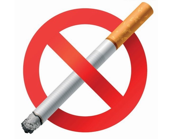 实验幼儿园小朋友个个当起禁烟小使者