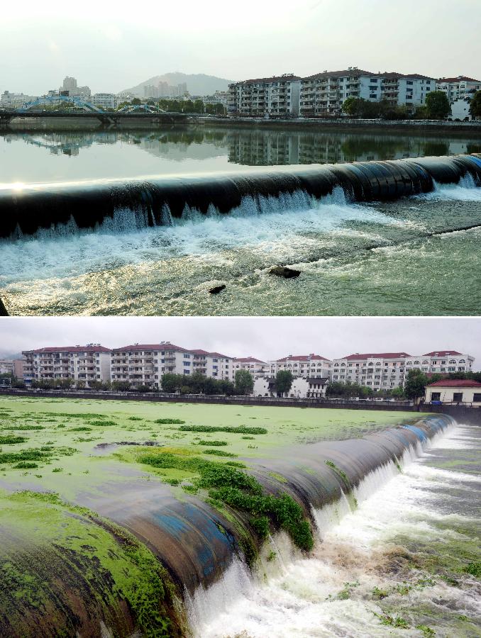 "五水共治"让武义熟溪河重现碧水