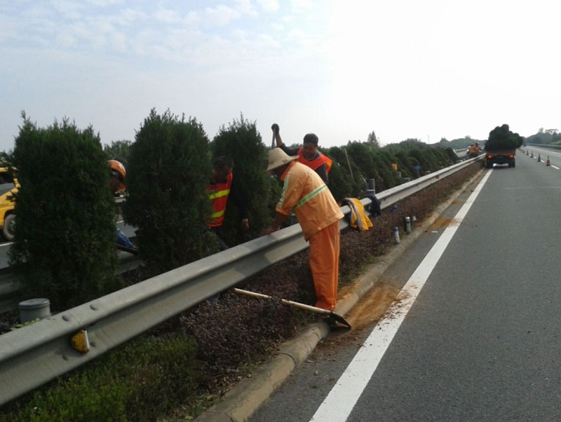 单独 二孩准生证起码要7种证明材料 最快节后