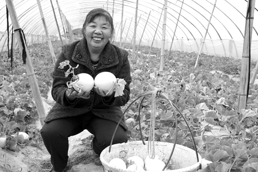桃渚镇多少人口_桃渚镇图片(3)