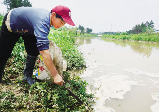 婺城区聘请50多名河道保洁员--金华频道
