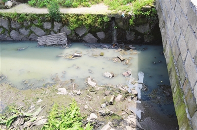 排污口仍在排污 臭水沟依然黑臭--武义新闻网