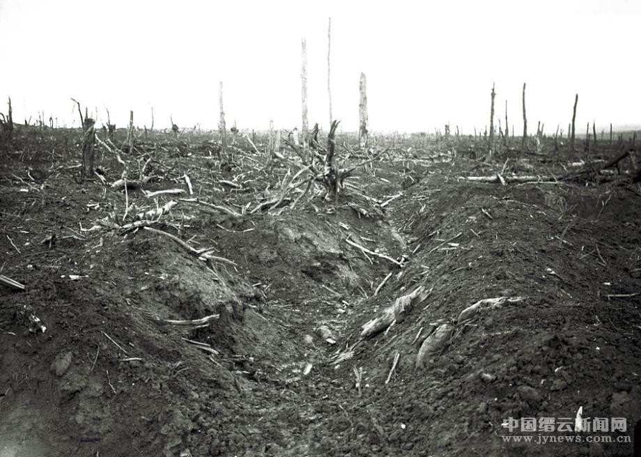 英资深摄影师公布一战照片 揭示战争绝望时刻