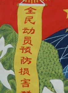 ϻӬһ