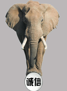 Ŷ