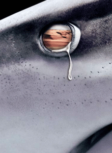 ҵĺ