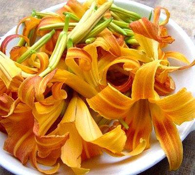 新鲜蚕豆棕色芯甘蔗 能吃死人的14种常见食物