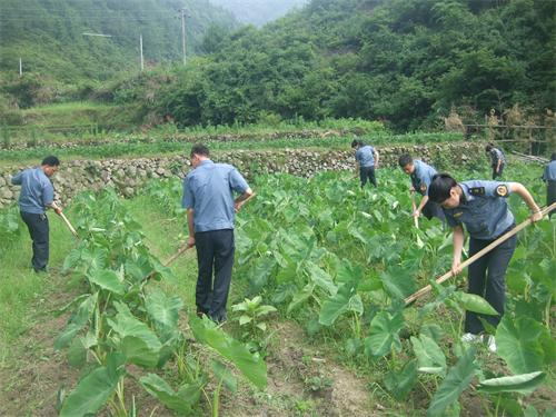 缙云路政 进村下地干农活