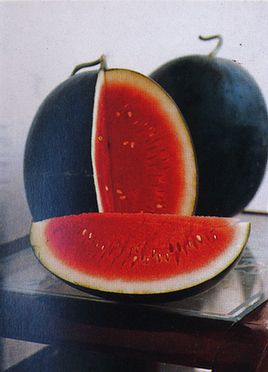 西瓜多吃好处大 十条禁忌莫忘记(组图)-西瓜皮