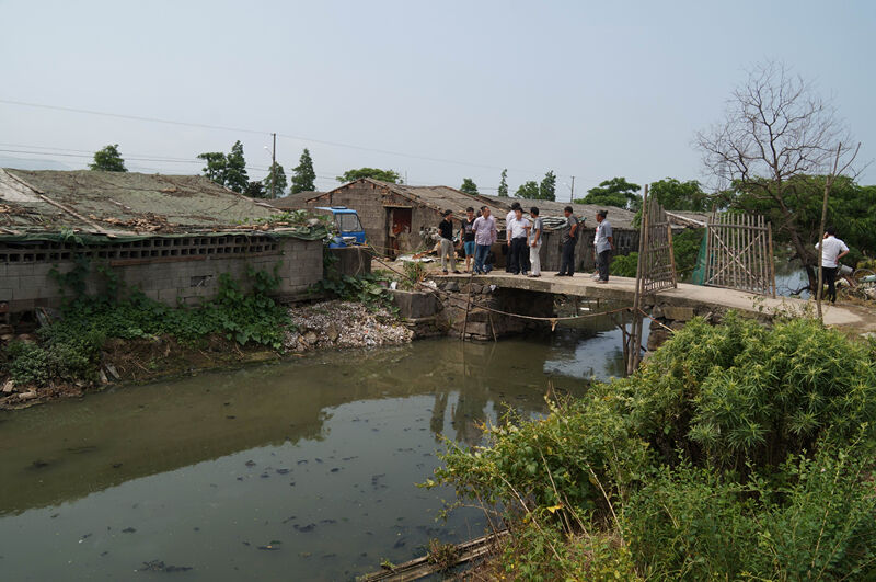 松门:人大代表督查沿河畜禽养殖场污染整治--温