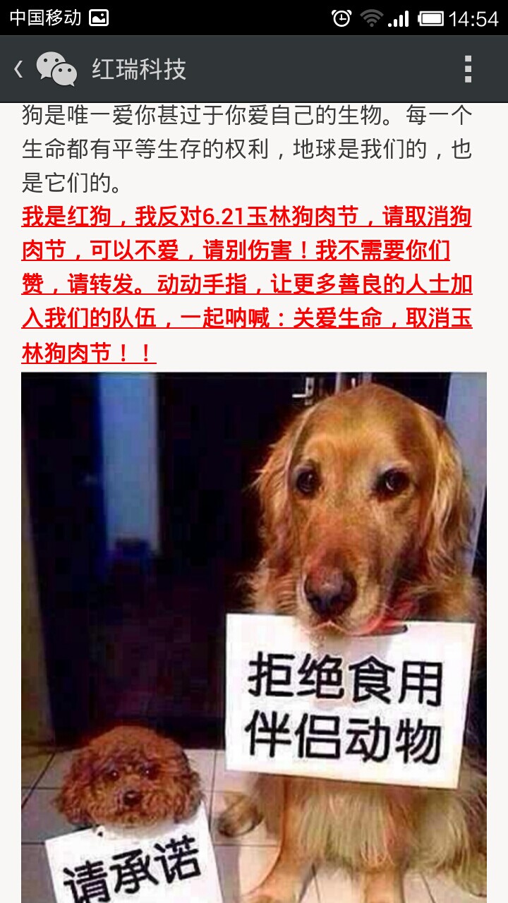 Reddog�칷����ȡ�����ֹ���ڣ�һֱ���ж�