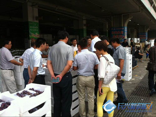 长兴葡萄市场调研组来到南京众彩农副产品批
