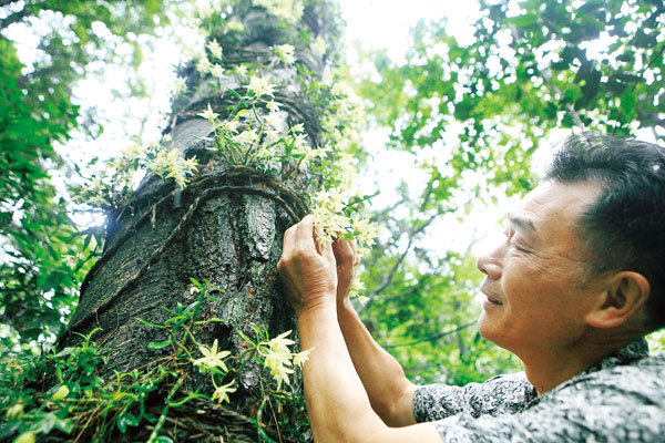 网友热议:未婚先孕,为啥不能考公务员-公务员,