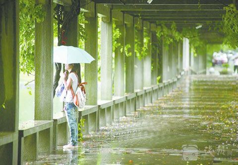 梅雨姑娘昨飘去了苏南 今天她要携大雨杀回浙
