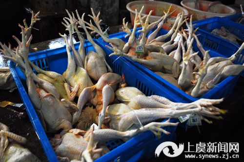 从现杀活鸡到冷鲜鸡,你的消费习惯能转变吗?