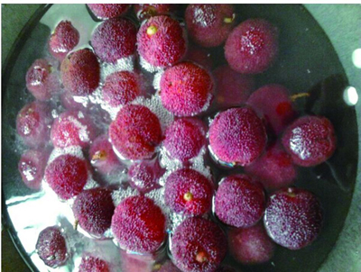 杨梅DIY后的花样吃法--黄岩新闻网