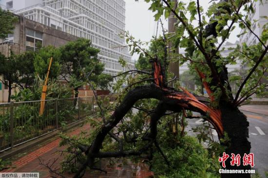 超强台风重创冲绳致2人死 近10万户家庭断电-